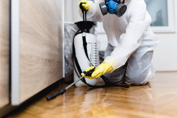 Best Ant Control Services  in Delta Junction, AK