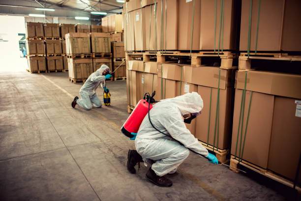 Best Flea Control Services  in Delta Junction, AK