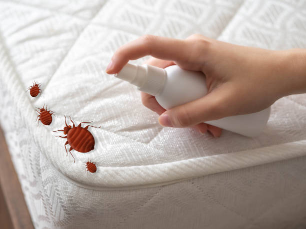 Best Bed Bug Extermination  in Delta Junction, AK