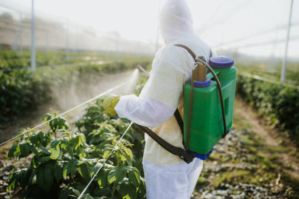 Trusted Delta Junction, AK Pest Control Experts